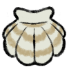 Bay Scallop Shell